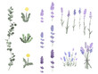 © 竹内トモミ - 水彩風の優しい植物のイラストカット(背景透過PNG)