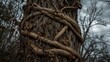 © lin - strangling. Vine tightly strangling a tree trunk with deep bark grooves and withering leaves. gardening catalogs, home-decor guides, designed for gardening and botanical catalogs, used by recruiters.