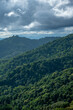 © Cavan - Vertical green forest woodland mountain landscape