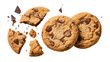 © Lukas - Chocolate chip cookies with broken pieces and crumbs