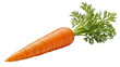 © Aliona - Fresh orange carrot with green leafy tops, isolated on transparent background