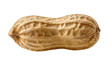 © Aliona - Whole peanut in shell with textured surface, isolated on transparent background