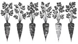 Six stylized root vegetables with leafy green tops are displayed in a horizontal arrangement with distressed texture
