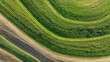 © JR Slompo - Top down aerial view of sugarcane rows forming organic geometric patterns and curves