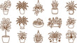 © ROUSHONARA - Assorted houseplant line including monstera, ferns, hanging plants, succulents, and potted foliage isolated on a white background