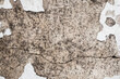 © Kwangmoozaa - Old cracked gray concrete wall texture background