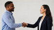 © Shafira - Multicultural colleagues handshake after dialogue for trust and peace