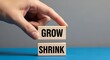© Mohammad - Business growth and shrink concept on wooden blocks, hand choosing grow over shrink, financial scaling and economic development metaphor