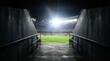 © Nats - A dramatic perspective through a sports stadium tunnel toward the crowded arena and pitch.