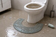 © Svitlana Ozirna - Overflowing toilet flooding bathroom floor with water damage and household emergency