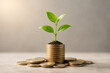 © Anastasiia - A small green seedling growing out of a stack of coins on a neutral surface.