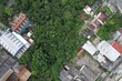 © Ricardo_S_Levenhagen - Uma APP, área de preservação permanente, em uma região urbana e industrial da cidade de São Bernardo do Campo, estado de São Paulo, Brasil.