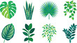 © MdSekender - Set of diverse tropical jungle leaves and exotic houseplant foliage flat vector design icons