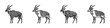 © David Zydd - Monochrome sketch bongo icon design set