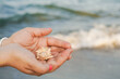 © Lavinia - mani di donna che tengono una conchiglia al mare in italia