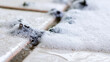 © lemonmoon - White foam tile grout mold removal ceramic tile close up macro cleaning soap bubble grout line bathroom
