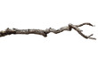 © Chalam - Dead branch with cracked bark isolated on transparent background.