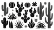 © SI Creative Studio - An illustration of various cacti and succulents in a desert landscape with plants and stars.