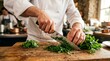 © BIJOY  - Professional chef chopping fresh green herbs on wooden cutting board