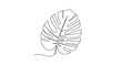 © INDRA - Minimalist Monstera leaf line drawing emphasizing organic shapes and natural botanical simplicity for modern home decor or