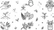 © Mstshneha - Minimalist gardening houseplant care line icon set featuring watering can seedling trowel organic foliage sprout growth doodle vector