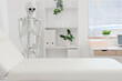 © Pixel-Shot - Interior of medical office with human skeleton model, couch and shelf unit