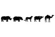 © MstSaleha - Five African Animals Silhouettes Standing Side By Side Illustration