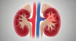 © AnitaRani - 3d medical illustration of human kidneys with a tumor in the right kidney