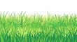 © AnaiChan - Eine lebendige, illustrierte Wiese mit saftig grünem Gras und kleinen Blumen vor einem klaren weißen Hintergrund, ideal als dekoratives Element für Frühlings- und Sommerdesigns.