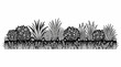 © AnaiChan - Eine detaillierte Schwarz-Weiß-Illustration einer Gartenbordüre mit verschiedenen Gräsern, blühenden Sträuchern und Farnen auf einem weißen Hintergrund für grafische Designs.