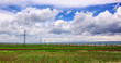 © Levon - Vast green field under bright blue sky with fluffy white clouds