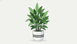 © Sophie - Indoor houseplant with bright green leaves in a stylish white pot with black stripes on a clean light gray background.