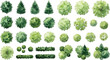 © sahanajstock - Set of watercolor top view trees and shrubs for landscape architecture design isolated on white background for site plans and garden layouts