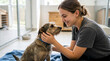 © Angavlan - Girl volunteering at animal shelter, smiling while petting dog in cozy environment. Volunteer interacts with rescued dog, providing comfort and companionship.