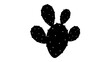 © Md - Prickly Pear Cactus Silhouette: A striking black silhouette of a prickly pear cactus stands against a clean white background, its unique paddle shape and dotted texture clearly defined.