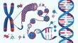 © Jono - Educational diagram of dna packaging from chromosome to helix