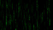 © Dezer - The green flow of digital data cascading downward against a dark background, cybersecurity, the digital fortress of data, 4k background