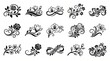 © Sandi Apriyadi - Set of decorative floral elements and ornaments isolated on white background