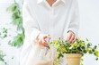 © metamorworks - 植物にスプレーする女性。ガーデニング、園芸、観葉植物、趣味、水やり、肥料、防虫、お手入れ、インドア