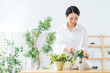 © metamorworks - 植物にスプレーする女性。ガーデニング、園芸、観葉植物、趣味、水やり、肥料、防虫、お手入れ、インドア