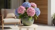 © Ameen - Pink and blue hydrangeas in a vase on a table.