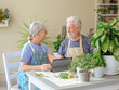 © luciano - Senior couple enjoying gardening together on balcony, researching plant care on a digital tablet, embracing retirement and a healthy, sustainable hobby