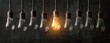 © renisa - Row of vintage lightbulbs hanging against a dark background, one glowing brightly
