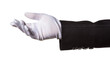 © Francisco - Isolated hand in a pristine white glove and black suit jacket, gesturing to present