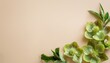 © Braxton - Spring Floral Frame Banner Green Hellebores Flowers On Neutral Beige Champagne Table Background Empty Copy Space Flat Lay Top View Natural Minimal Composition Feminine Styled Photo