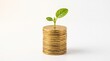 © Sanur - A vibrant green sprout emerges from a neatly stacked pile of golden coins, symbolizing robust financial growth, successful investment, and wealth accumulation