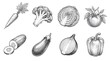 © FadhilKey - Set of Hand Drawn Vegetable Sketches Featuring Fresh Garden Produce Including Carrot Broccoli Cabbage Tomato Cucumber Eggplant Onion and Pepper