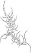 © Soloworks - neo cybersigilism tribal tattoo design