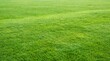 © Phaimanee - A wide, evenly trimmed green grass field extending into the distance.