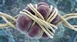 © WisChi - High-End Biomedical Illustration of Liver Fibrosis and Cellular Stress